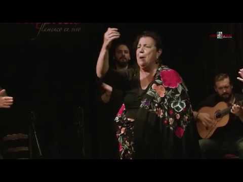 CASA PATAS, FLAMENCO EN VIVO #304 - CARMEN LEDESMA, BAILAORA