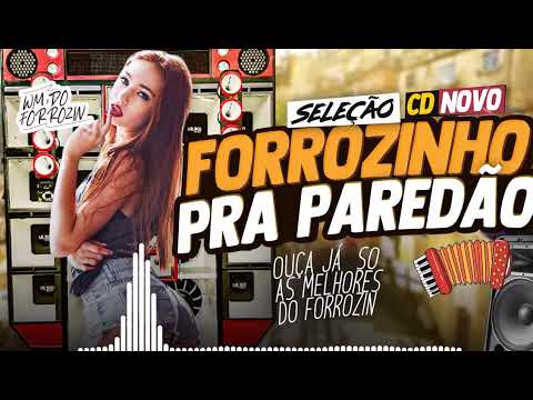SET FORROZINHO  2025  🔥  SO MUSICAS BOA 2025💕 WM DO FORROZIN , SELEÇÃO PRA PAREDÃO,  MUSICAS NOVA 🚀