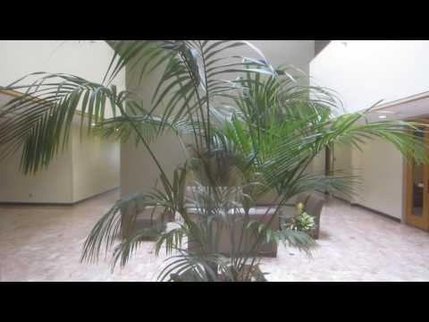 Dover Hydraulic Elevator at the Courtyard Atrium Office Building.