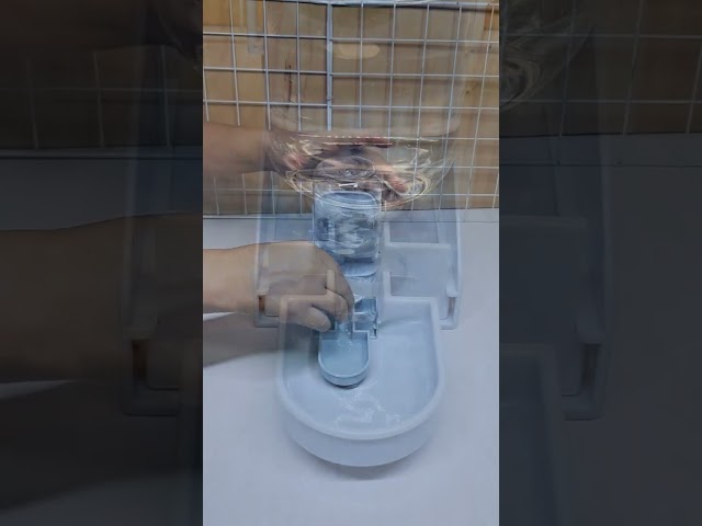 Vídeo relacionado con Cuenco Colgante para Jaula, 2 en 1 Extraíble Inoxidable Comedero, Platos Bebedero Alimentación, Cuencos Agua para Perrito, Gato, Conejo, Hurones, Pájaros, Hamster (Verde)