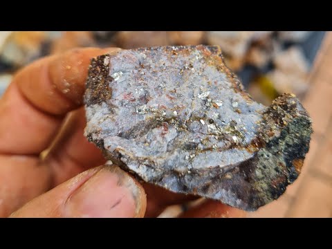 Rock to Gold - Crushing ore with a chain mill.