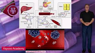 Insulin preparation