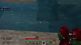 マイクラ#4