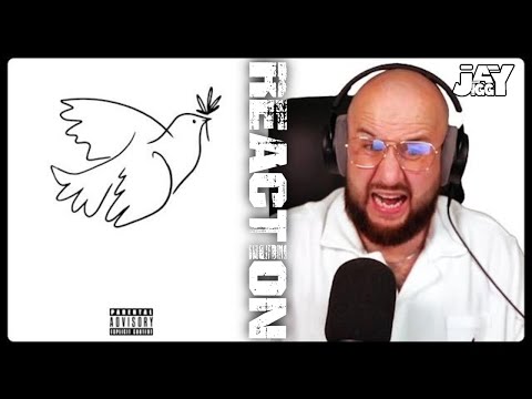 DAMIT hab ich NICHT gerechnet! 😳 Shindy - "FREE SPIRIT" | REACTION