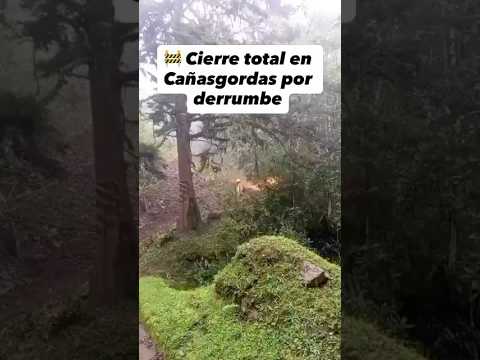 🚧Atentos al cierre vial en Cañasgordas