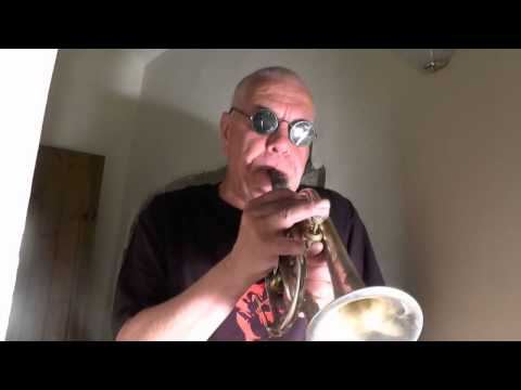 A brief inspection of the Robinson Saxonet