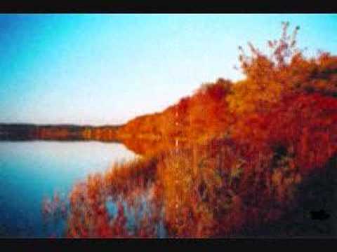 Sabor a Nada (letra) -Ricardo Montaner-