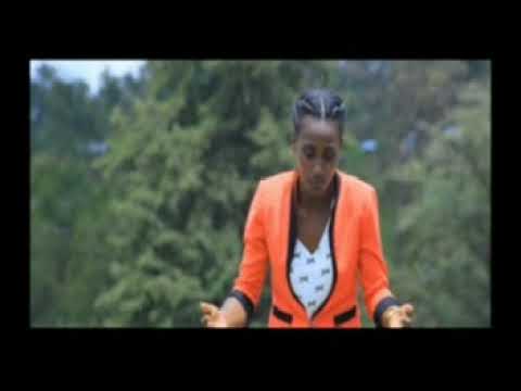 far. dirribee fayyisaa(iyyesuusko)