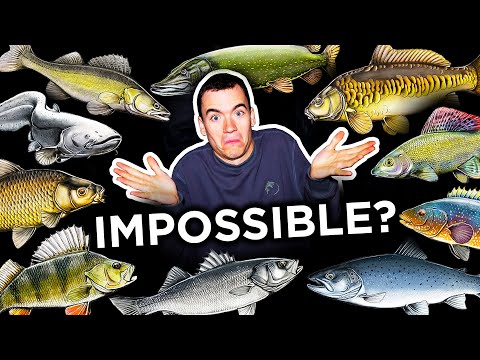 Artsfiskeri i England - arts udfordring med Carl