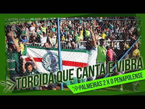 Penapolense 0 x 2 Palmeiras - O show da torcida que canta e vibra