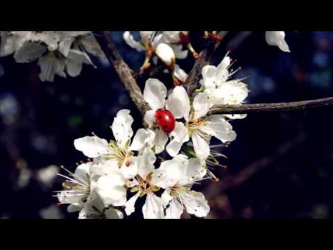 Wochenorakel 04. bis 10.Januar 2016