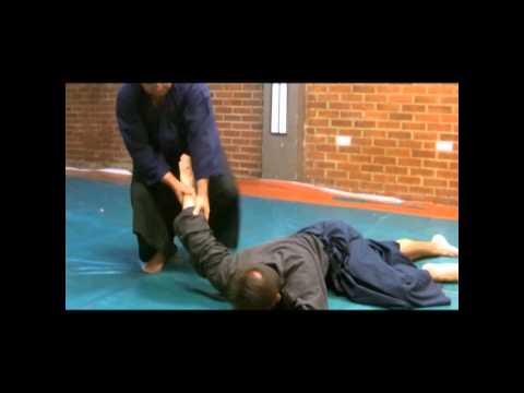 Ogawa Ryu - Serie of video for Students - 合気柔術  - Aikijujutsu