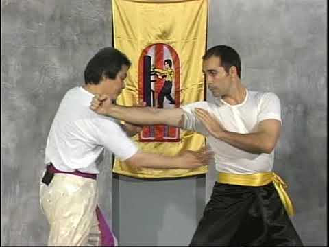 William Cheung - Wing Chun Kung Fu Vol. 2 | Martial Art | Self Defense