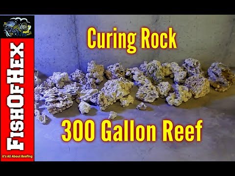 Curing 200 Pounds Of Pukani Dry Rock | 300 Gallon Reef Tank
