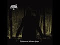 Mr Death Descending Through Ashes 2011 Full Album