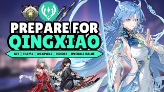 Prepare For Qingxiao!! Kit, Teams, Weapons, Echoes & Should You Pull?! | Wuthering Waves