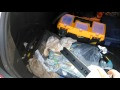 Эсп Форвард гранта стандарт