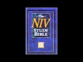 Acts of the Apostles (NIV Audio Bible Non Dramatized)