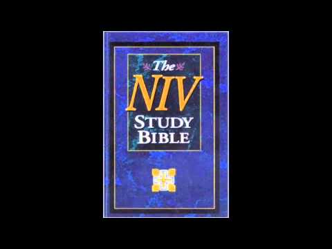 Acts of the Apostles (NIV Audio Bible Non Dramatized)