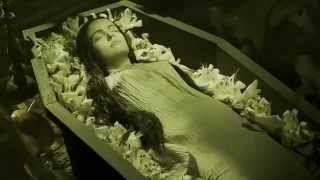 Powerwolf - Nochnoi Dozor