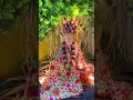 Shri Swami Samarth L Utha Utha Swami Samarth Song L