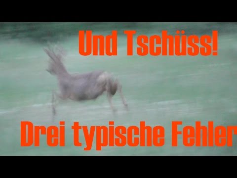 3 typical mistakes when hunting!