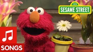 Sesame Street: The Flower Song