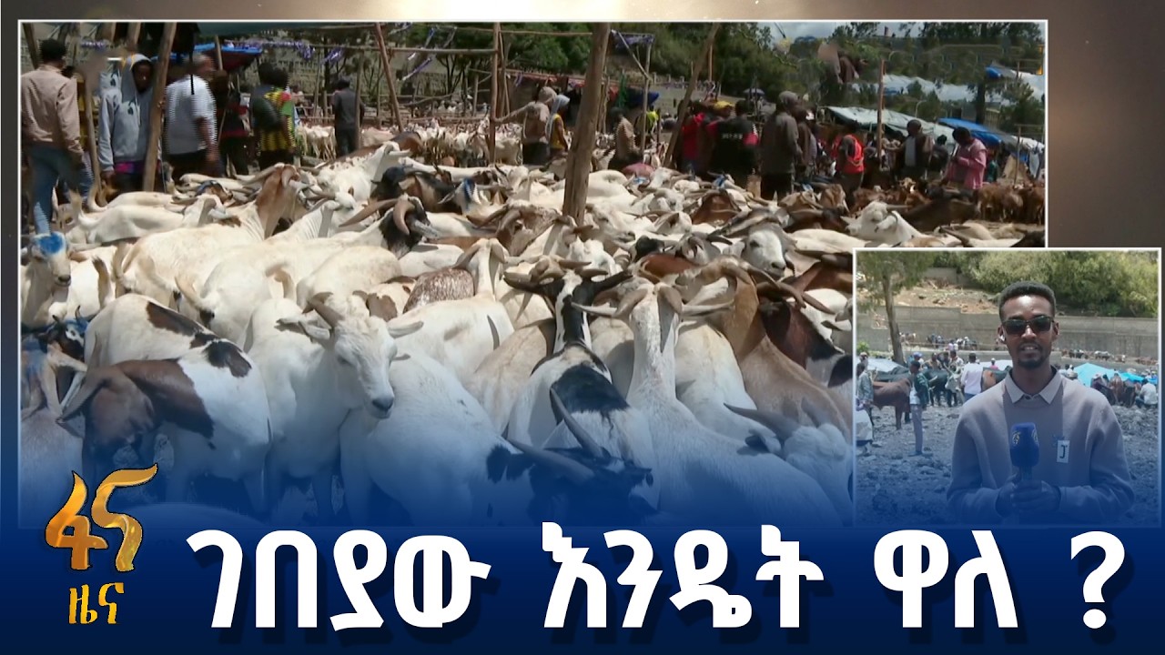 የእርድ እንስሳት ዋጋ