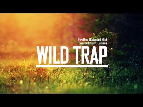 Bassjackers ft. Luciana - Fireflies (Extended Mix)
