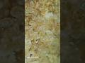 Potato Chips A Hidden World Under The Microscope Bacteria Close Up Science Microscope Biology