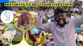 3 EASY WAYS TO MARKET AND SELL YOUR FARM ANIMALS IN AFRICA