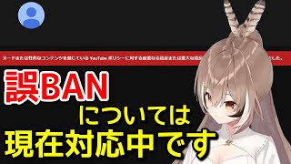 スパムによる誤BANについて話すムメイ【日英字幕/English⇔Japanese】