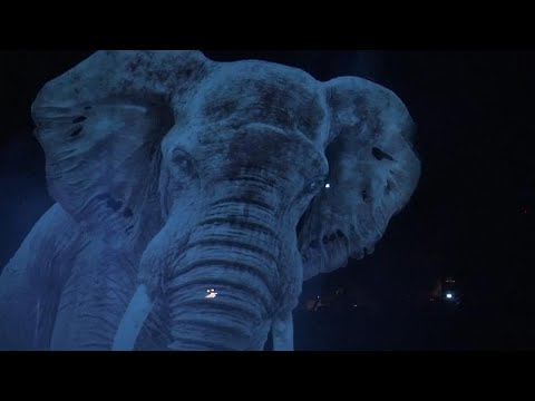 Moderner Zirkus: Roncalli performt mit Tier-Hologrammen