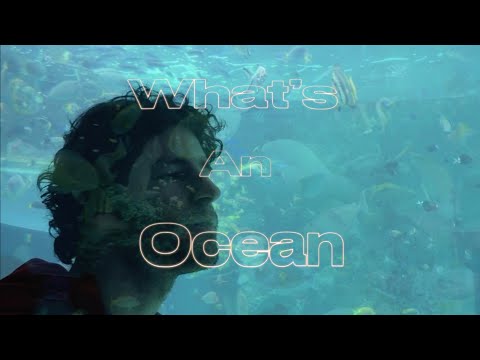 Liam Mockridge - What's an Ocean (Official Music Video)