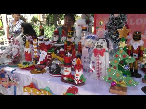 La Secretaría de las Personas Mayores celebró el cierre anual de talleres con la exposición “Aires Navideños”