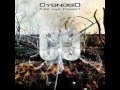 CYGNOSIC - FIRE AND FORGET 
