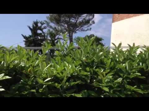 Tenuta agricola ad Alfiano Natta