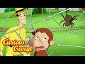 George Learn About Spiders Curious George Kids Cartoon Kids Movies