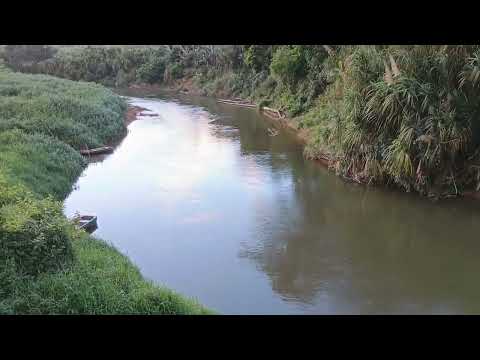 PIER DO RIO GUARAÚ : JACUPIRANGA - SP