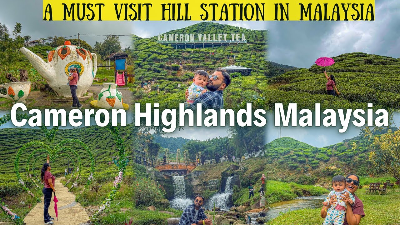 Cameron Highlands Malaysia | Must visit place in Malaysia | Hill station in Malaysia travel vlog