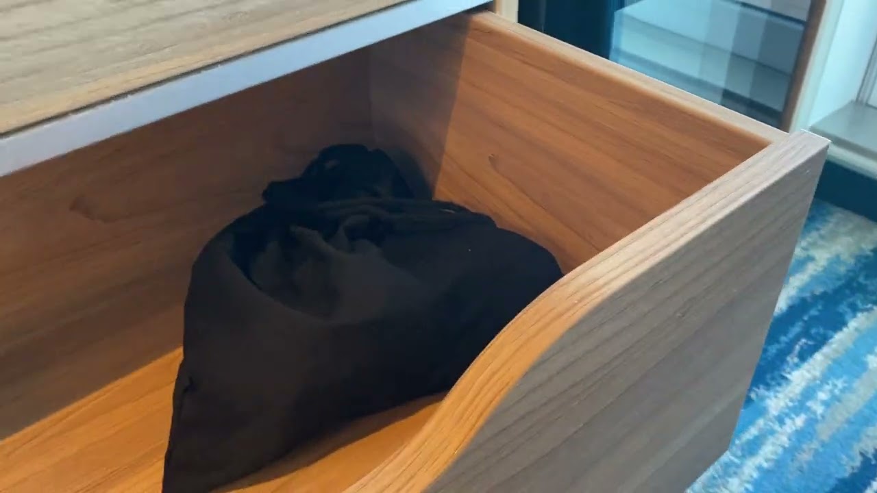 Carnival Celebration - Cabin 9366 - Video 1
