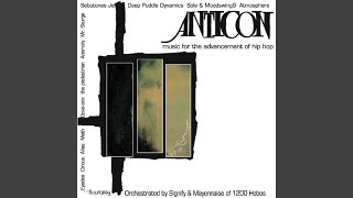 Human Races the Tortoise