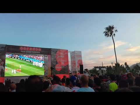 The Tunisian supporters after the goal of Ferjani against England