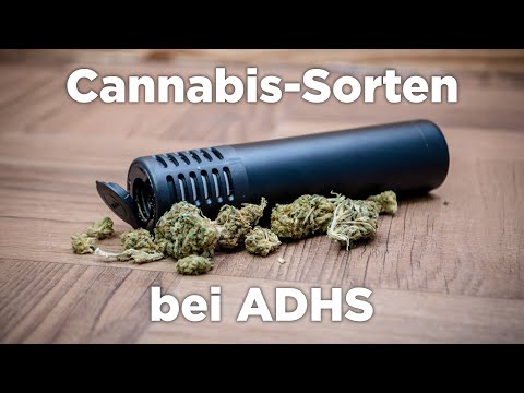 Cannabis strains for ADHD - doctor explains therapy process