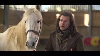 Re: [問題] 電影裡盾牌陣第一排的兵受到前後的物理力