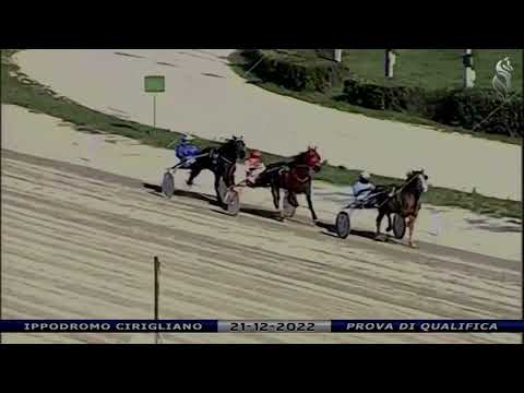 Aversa trotto 21 Dicembre 2022 - Prova di qualifica