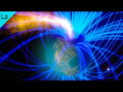 地球磁場を利用したアリのナビゲーションシステム