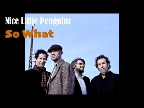 Nice Little Penguins - So What