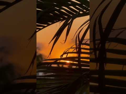 Bom dia Paripueira AL