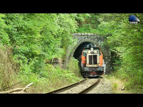 Trenuri de Calatori/Passenger Trains in Defileul Crisului Repede Canyon - 25 August 2017